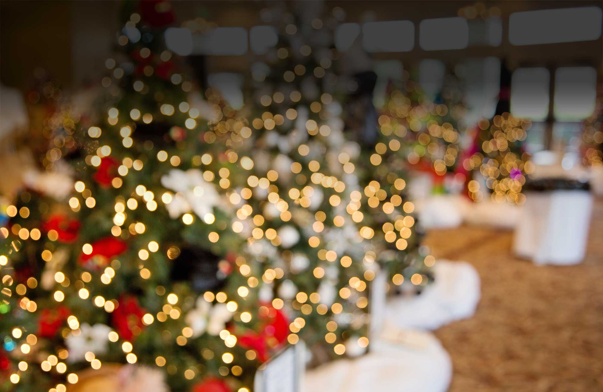 Décoration Noël pour Centres Commerciaux et Galeries Marchandes