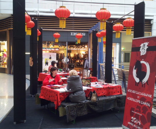 Animation Horoscope Chinoise Centre Commercial