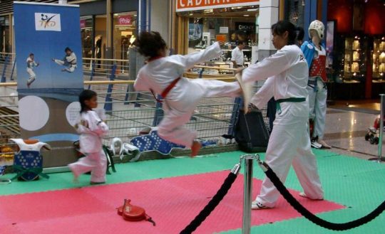 Animation Taekwondo Centre Commercial