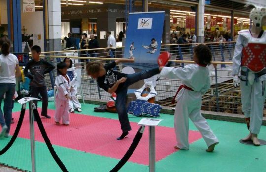 Animation Taekwondo Centre Commercial