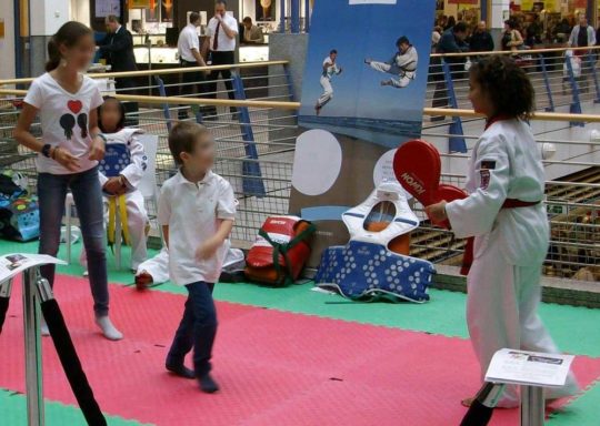 Animation Taekwondo Centre Commercial