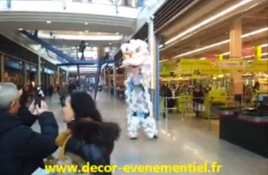 Vidéo danse du lion et du Dragon Centre Commercial